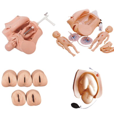 高級腹部觸診、分娩機轉綜合模型